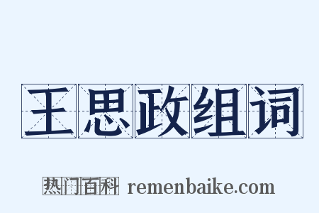 王思政组词是什么意思的图片